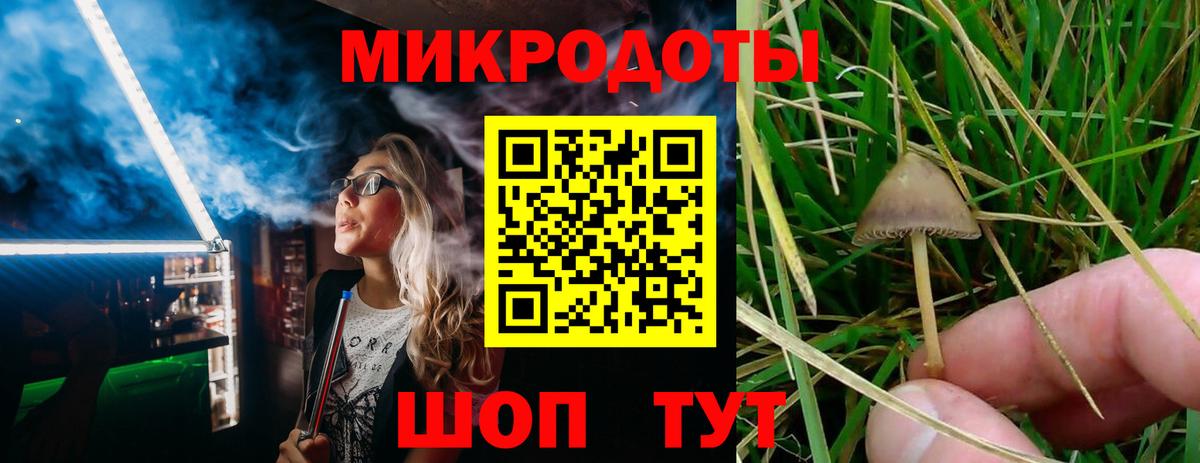 Галлюциногенные грибы Psilocybe Россошь